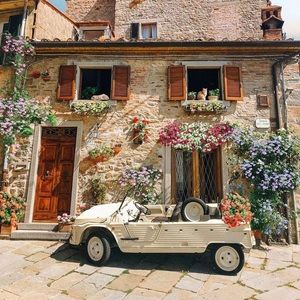 Meet your Posher, Emma